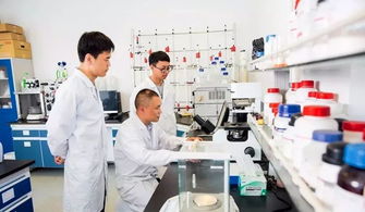 中國制造業第一縣聚力互聯網銷售轉型，新華日報頭版頭條聚焦產業升級新篇章