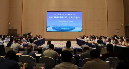 對(duì)接RCEP新機(jī)遇，共謀貿(mào)易物流新篇章——中國(guó)國(guó)際貨運(yùn)代理協(xié)會(huì)考察團(tuán)赴我市開(kāi)展產(chǎn)業(yè)合作對(duì)接